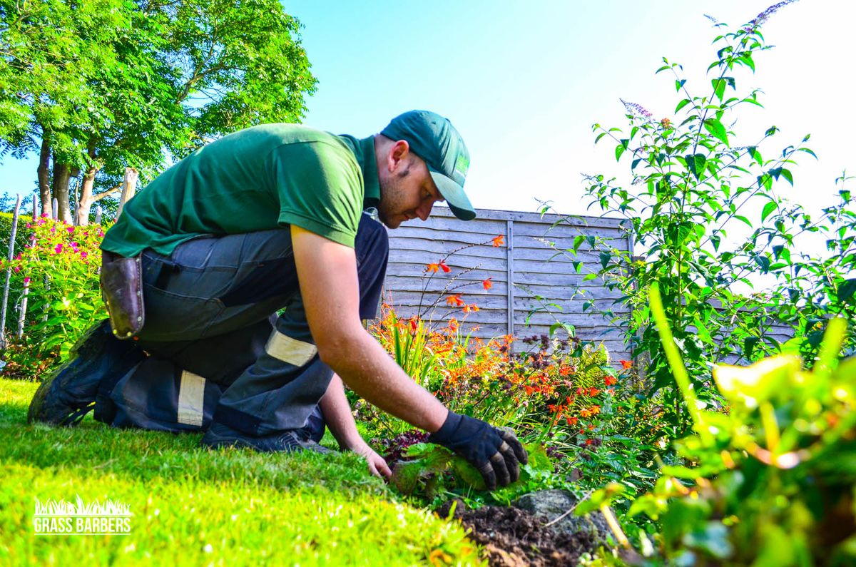 Garden Maintenance